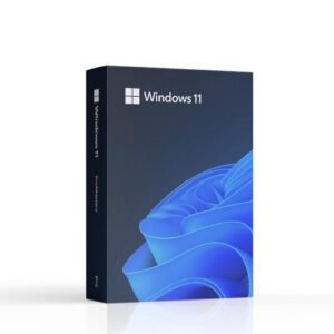 Windows 11 Professional FPP BOX